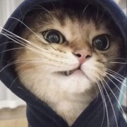 云笙韶华