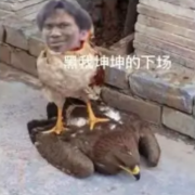 wjjxhz123