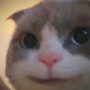 阿伟罗
