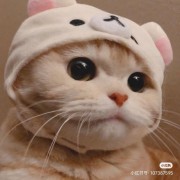 信念.