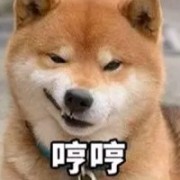 只踹瘸子那条好腿
