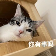 灵性的表弟