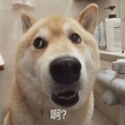 一枪没中我报大残