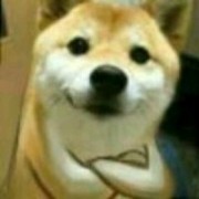 红橙max