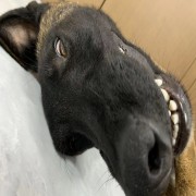 民治小学毕业生
