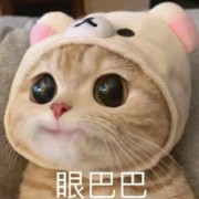 地上睡吧睡吧