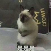 无敌d奥尔加
