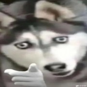 咯神
