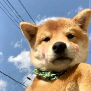 何止顾忌