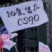 苏大表哥