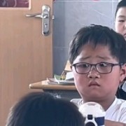 波尔多斯