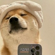 队友强我猖狂、