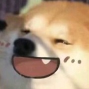 喜欢mk