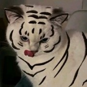塔姆的末日