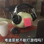 急停与瞄准的艺术