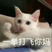 不要冰阔洛