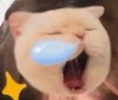 我很菜轻轻略