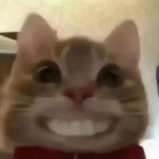 我爱始祖鸟