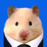小欣不会玩沙鹰