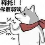 别急和我数质数