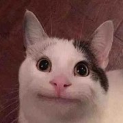 理塘伝説純爱丁真