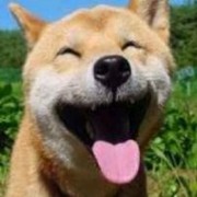 快烟有点慢◔ڼ◔