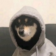 电击小子一科