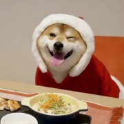 AAA中大秦医生