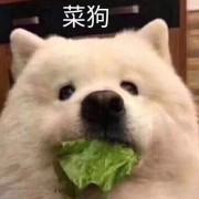 huahuaha1