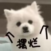 坏人12138