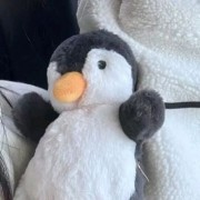 不起喷子