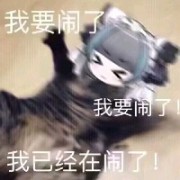 阿皮鸭