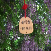 近战专家