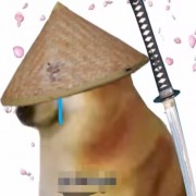 十年老兵曹达华a