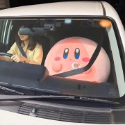 蒜苔ro丝