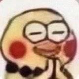 布响丸辣辣辣辣