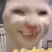 离合半联动