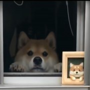 Estdoor