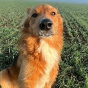 王源帮我崶个烟