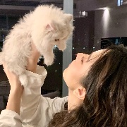 FortuneCat❤诺.Emilia