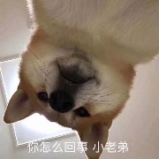 浮生若梦几度秋