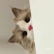 偶尊嘟不系糕手