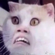 十八岁的她已上环