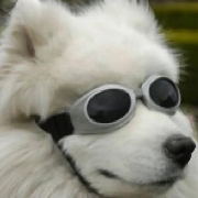 最强自由人吴军涛