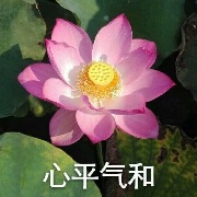 枪法看状态吧