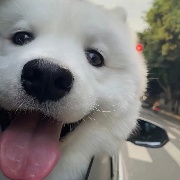 小火炖大鱼