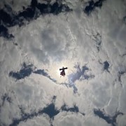 天下无鸠