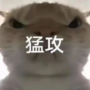 jazzcat7355608