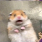 马佬师