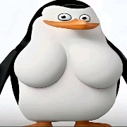 此生必娶东北雨姐